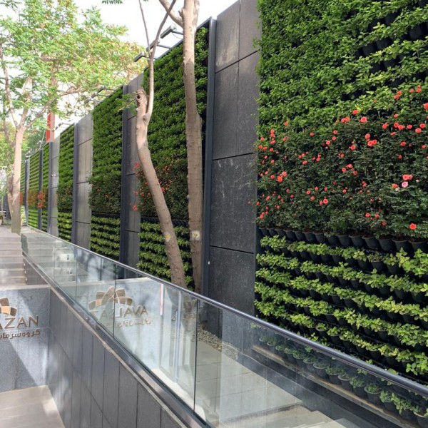 طراحی و اجرای انواع دیوار سبز و روف گاردن